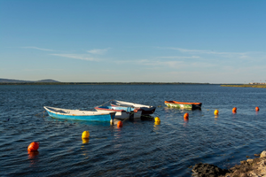 Réparation dégât des eaux Frontignan